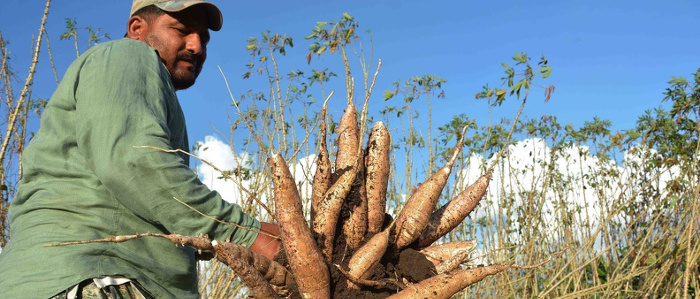 Convoca Machado Ventura a elevar rendimientos agrícolas en Camagüey