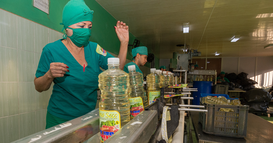 Estable producción de alimentos en Camagüey