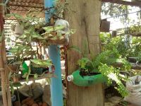 patio2