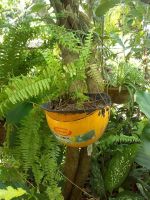 patio4