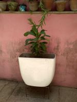 patio5