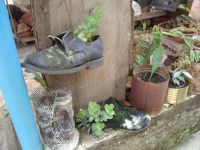 patio6