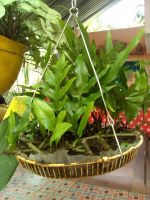 patio9