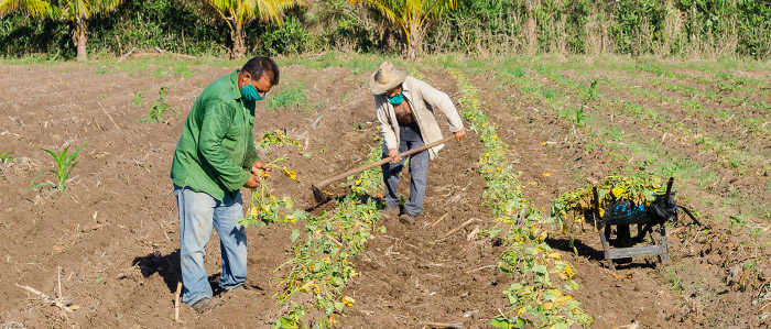 Agricultura, aporte consciente