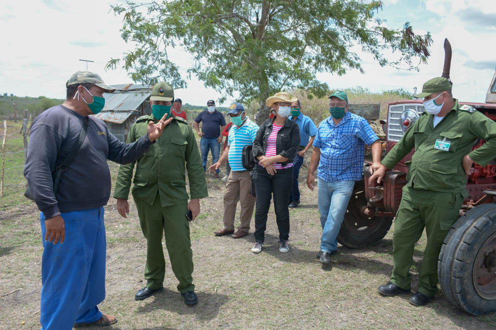 Comprueban desde el surco producción de alimentos
