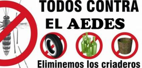 Fortalecen medidas ante auge de dengue en Camagüey