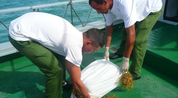 Enfrentan autoridades cubanas operación de narcotráfico