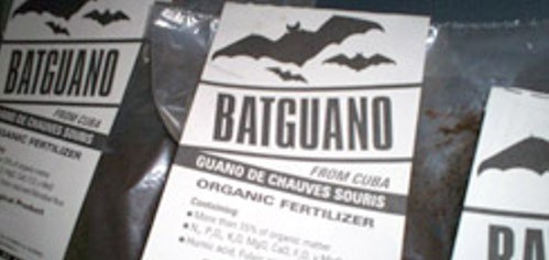 Guano de murciélago: disputa, bloqueo y una visita del Che