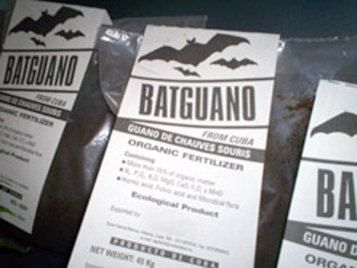 Guano de murciélago: disputa, bloqueo y una visita del Che