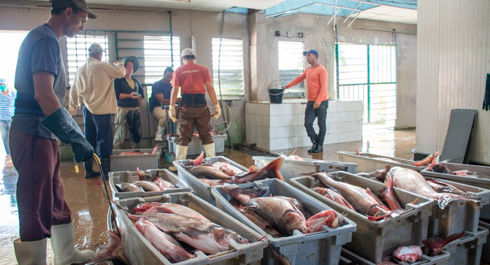 Vertientes “pescó” plan anual 