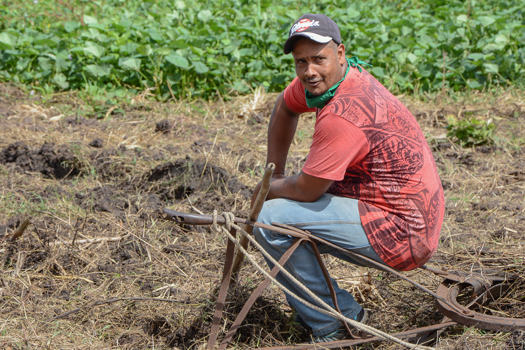 Anastasio Domínguez González, campesino de la CCS Niceto Pérez y boyero durante más de 8 años.