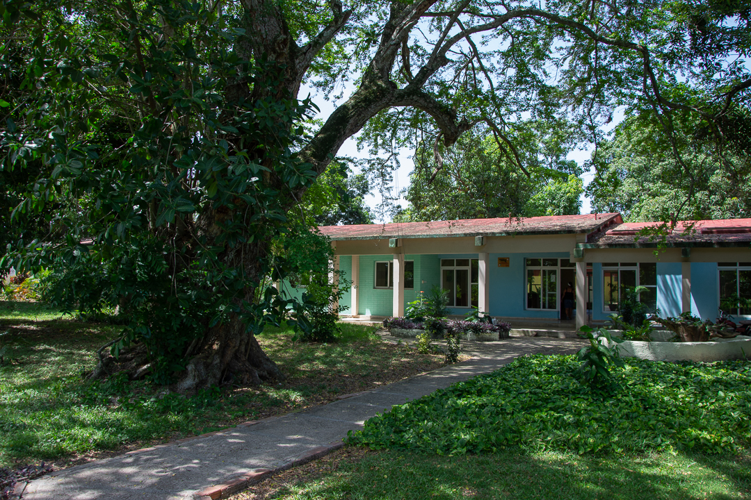 Foto: Leandro Pérez Pérez/Adelante