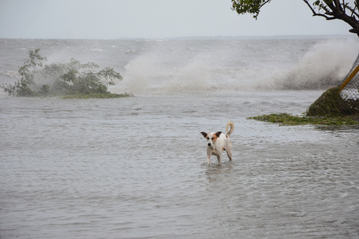Municipio camagüeyano Santa Cruz del Sur, luego del paso de la tormenta tropical Laura. Foto: Leandro Pérez Pérez/ Adelante Temporada ciclónica del 2020, una mirada a sus registros históricos