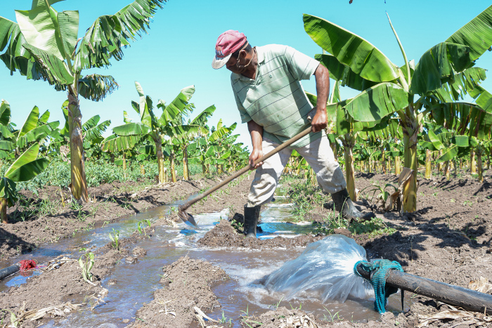  Tailored to the field