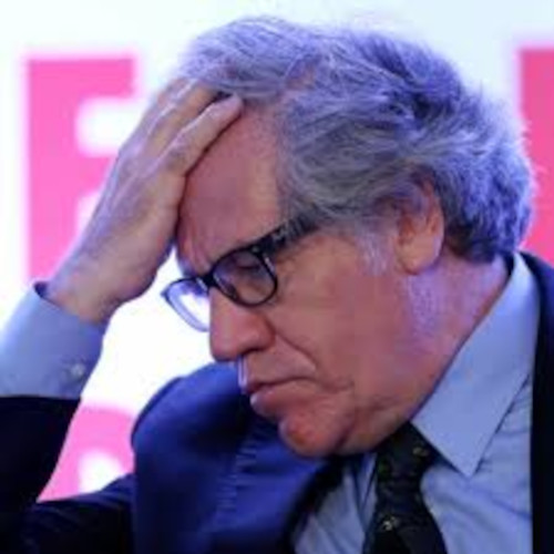 Advierten que secretario general de la OEA debe renunciar