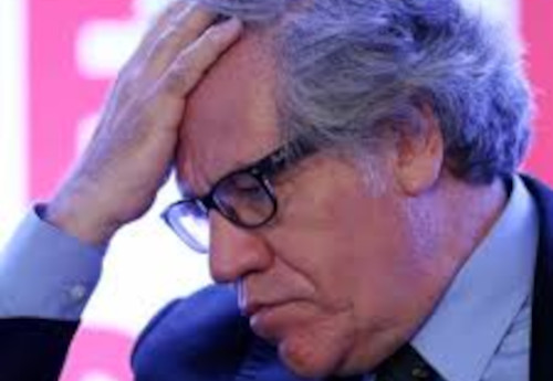 Advierten que secretario general de la OEA debe renunciar