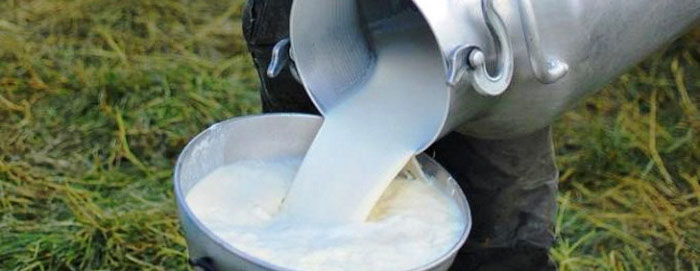 Campesinos camagüeyanos aportan más de 55 millones de litros de leche