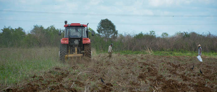 Alianzas científicas por más producción de alimentos en Camagüey