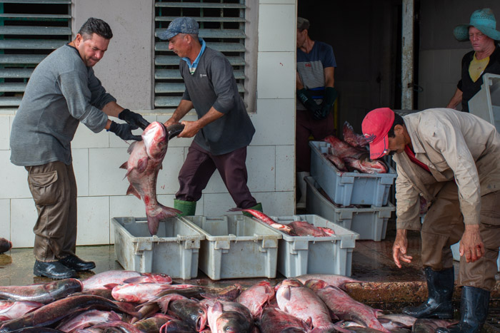 PescaCam despidió el año por todo lo alto