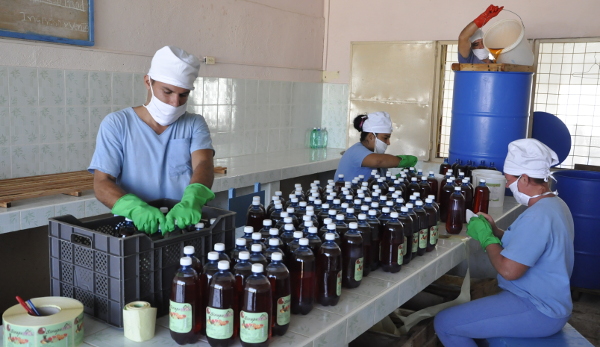 Priorizan en Camagüey implementación de estrategia socioeconómica