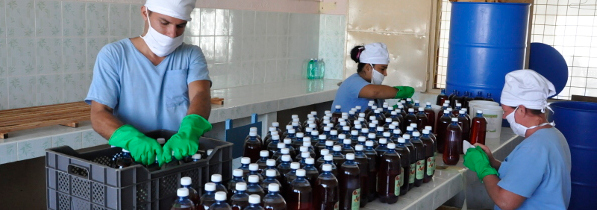 Crecen proyectos de desarrollo local en Camagüey