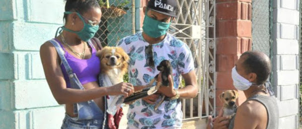 Proteger a los animales es preservar el futuro