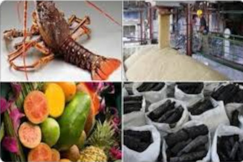 Camagüey province boosts export growth