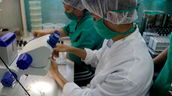 Biocen tiene una capacidad en las líneas de llenado de 4 000 a 12 000 bulbos por hora. Foto: tomada de citmatel.cu Empresa biotecnológica cubana tiene capacidades para producir vacunas anti COVID-19
