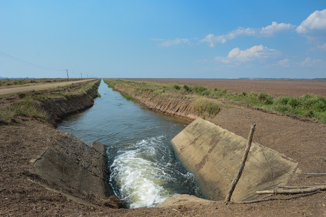 Normalmente, este conducto irrigaría plantaciones de arroz que ahora los campesinos no pudieron sembrar por los altos costos de los insumos, incluida el agua, por la cual deben pagar casi el doble debido a la cantidad que se pierde por la baja efi ciencia de los canales.