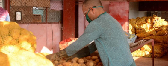 Venta de papa se extiende a todos los municipios camagüeyanos
