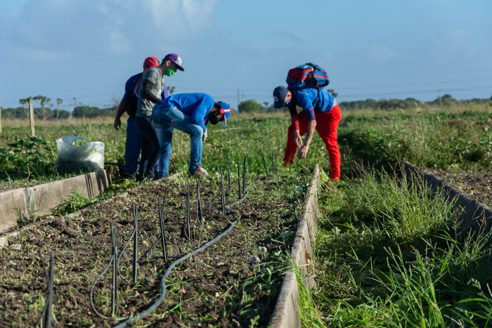 Fotos: Leandro Pérez Pérez/ Adelante Jornada productiva para jóvenes de Camagüey (+Fotos)