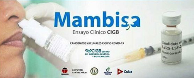 Autorizan estudio clínico de candidato vacunal Mambisa como dosis de refuerzo