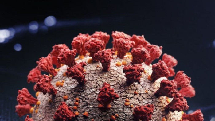 La última es la versión más mutada descubierta hasta ahora, y tiene una lista tan larga de variaciones que un científico la describió como "horrible", mientras que otro dijo que era la peor variante que habían visto. Foto: Tomada de bbc.com Unión Europea prevé medidas contra peligrosa variante del SARS-CoV-2