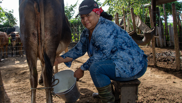 Cooperativa Evelio Rodríguez, diez años por encima del millón de litros de leche