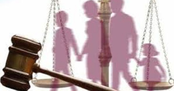 Avanza consulta de nuevo Código de las Familias