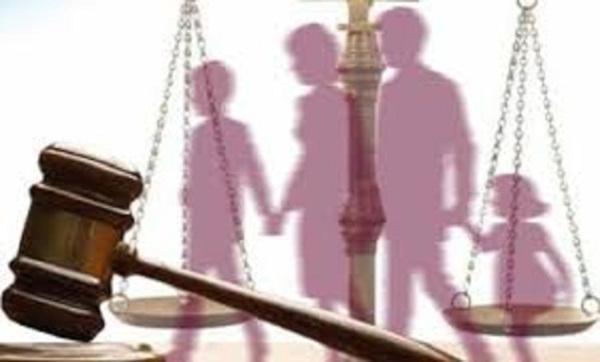 Avanza consulta de nuevo Código de las Familias