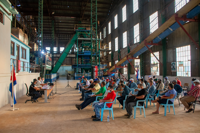 Caña, antes y más allá de la nomenclatura empresarial