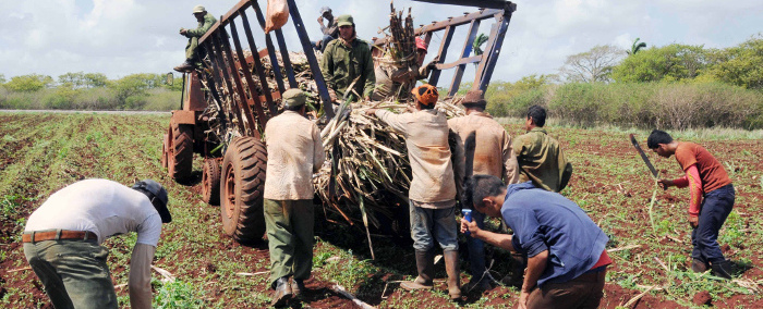 Abril y Primero de Mayo productivos para agroazucareros