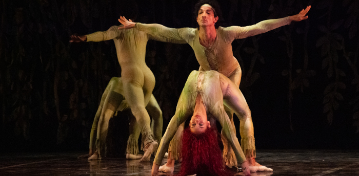 Feliz Día Internacional de la Danza (+Fotos) 