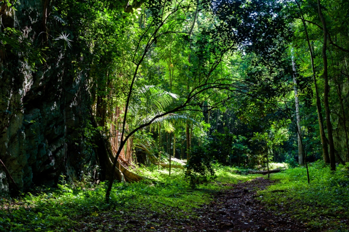 They project a natural geopark for tourist purposes in the Sierra de Cubitas