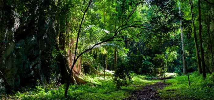 They project a natural geopark for tourist purposes in the Sierra de Cubitas