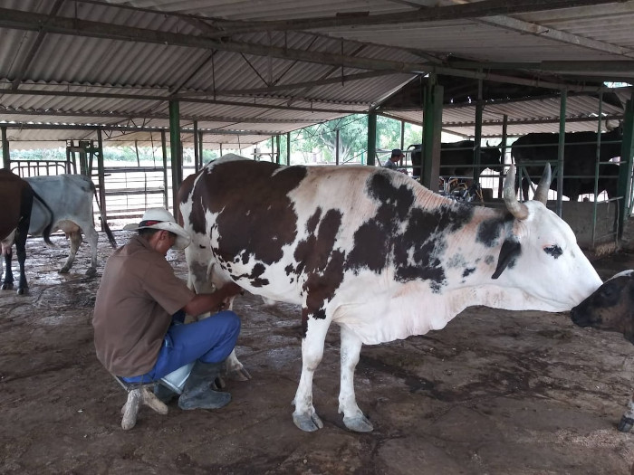 Fotos: Tomadas de acn.cu Luces de trabajo prenden en Jimaguayú