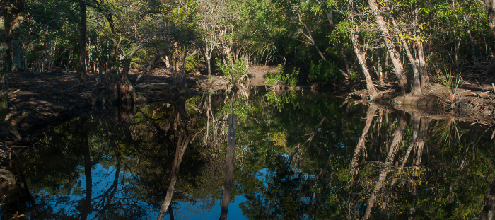 Sitios Ramsar cubanos son de interés para viajeros foráneos