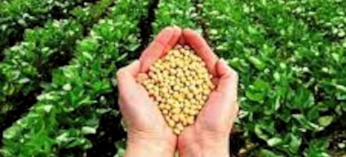 Por la soberanía alimentaria Cuba alista anteproyecto de ley