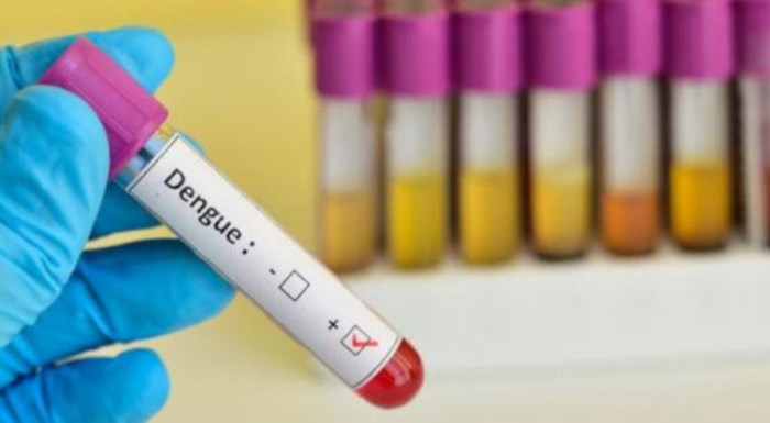 Autorresponsabilidad individual y familiar ante casos de dengue