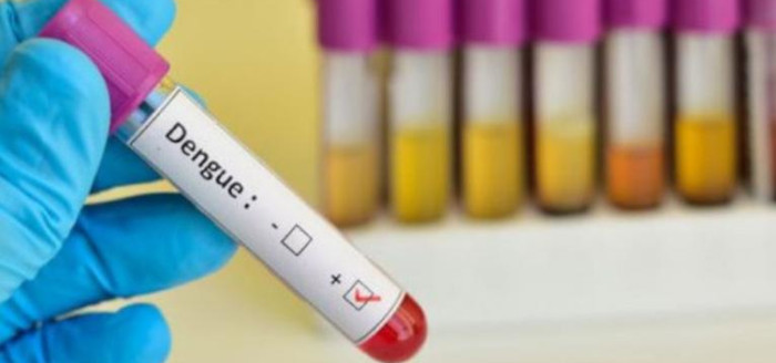 Autorresponsabilidad individual y familiar ante casos de dengue