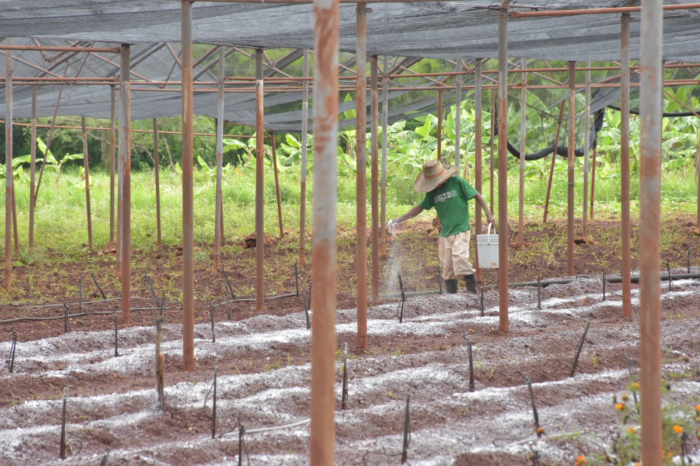 Federico Hernández Hernández, primer secretario del Partido en Camagüey, aseguró que existen suficientes reservas en el territorio para continuar avanzando, aún en escenarios tan complejos como los actuales. Foto: Alejandro Rodríguez Leiva/ Adelante La batalla económica decide hoy…