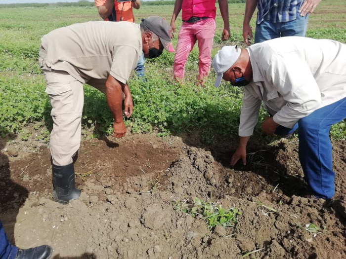 Concluyó intercambios con productores cañeros de Camagüey