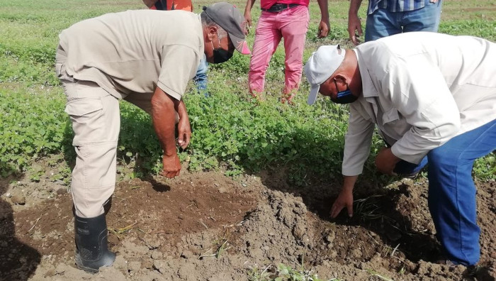 Concluyó intercambios con productores cañeros de Camagüey