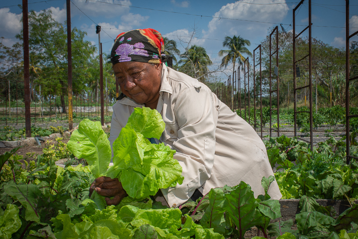 Despertar la vocación productiva